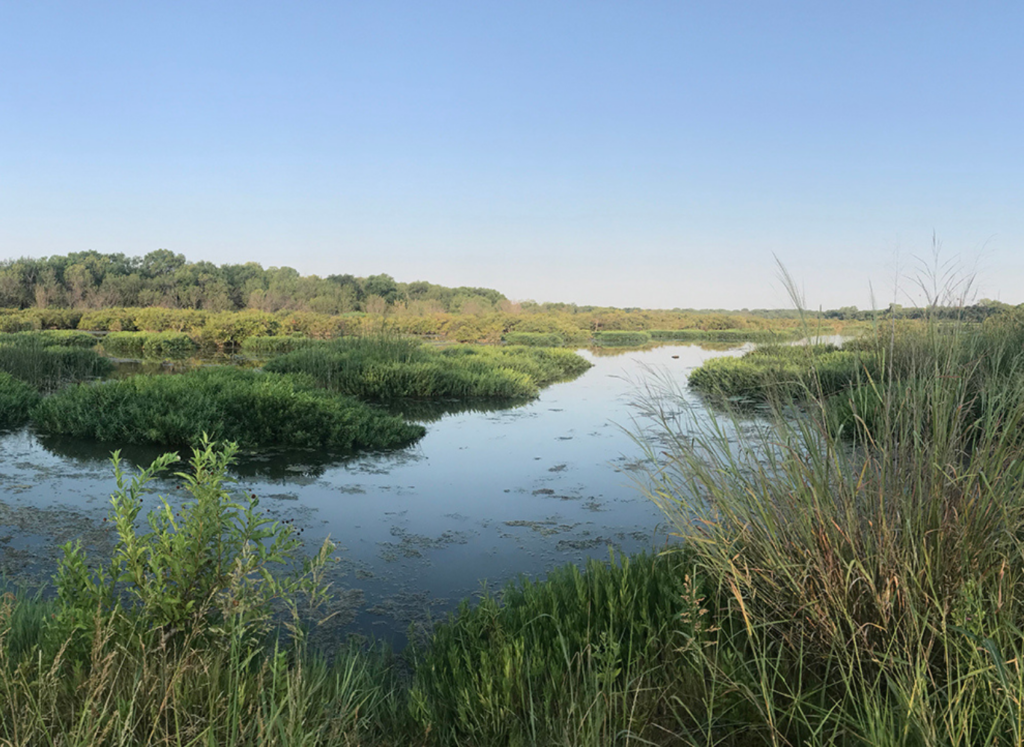 NTCF Announces Land Conservation, Animal Welfare and Equine Therapy Grants